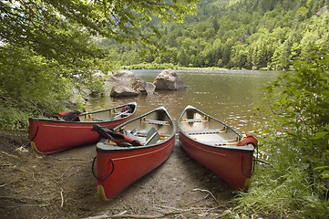 Image showing Canoes