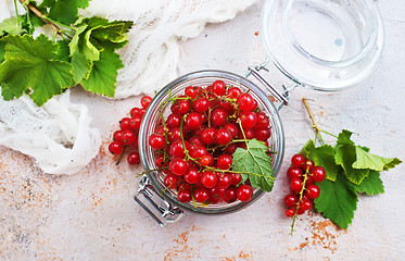 Image showing red currant