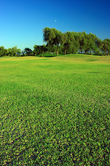 Image showing Green landscape