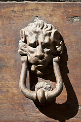 Image showing  Lion shaped door knocker.