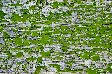 Image showing Old wooden green door