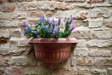 Image showing Flower pot with lavender plant on antique brick wall