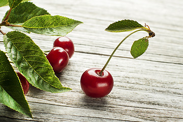 Image showing Cherry