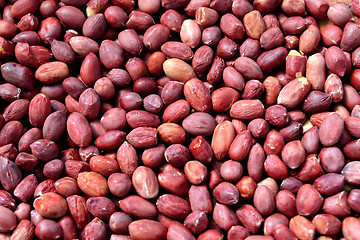 Image showing Fried peanuts