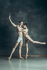 Image showing The young modern ballet dancers posing on gray studio background