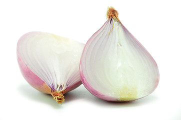 Image showing Salad shallot isolated