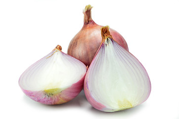 Image showing Salad shallot isolated