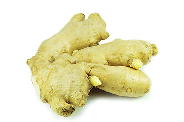 Image showing Ground ginger root isolated