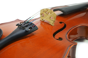 Image showing Close up of violin