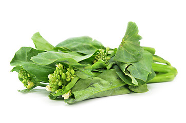 Image showing Chinese Kai Lan vegetables