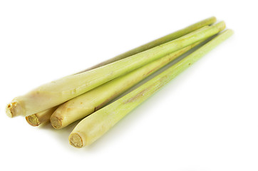 Image showing Fresh lemon grass