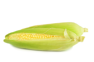 Image showing Sweet corn peeled and with leaves