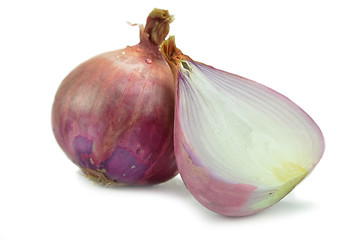 Image showing Salad shallot isolated