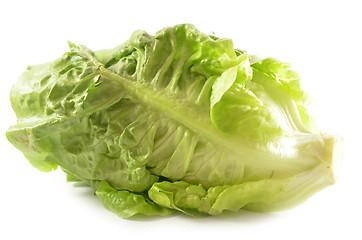 Image showing Romain lettuce isolated