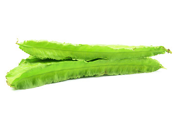 Image showing Green winged beans