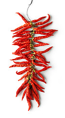 Image showing dried red hot chili peppers