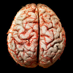 Image showing Human brain closeup