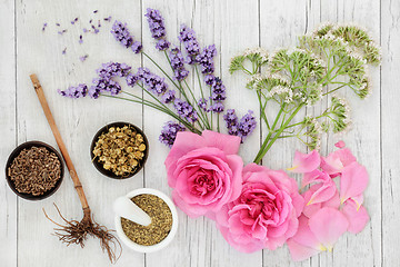 Image showing Herbal Medicine Selection