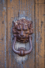 Image showing Ancient italian lion shaped door knocker.