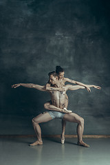 Image showing The young modern ballet dancers posing on gray studio background