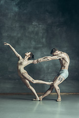 Image showing The young modern ballet dancers posing on gray studio background