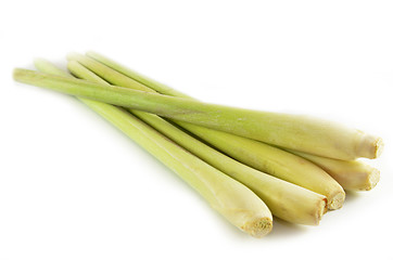 Image showing Fresh lemon grass 