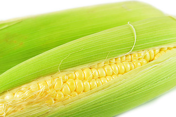 Image showing Sweet corn peeled and with leaves