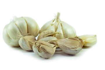 Image showing Isolated garlic and clove