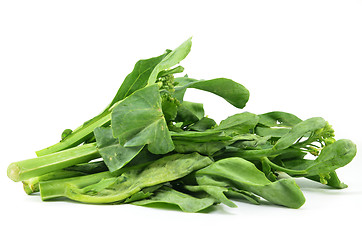 Image showing Chinese Kai Lan vegetables