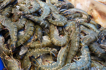Image showing Fresh raw shrimps prawns
