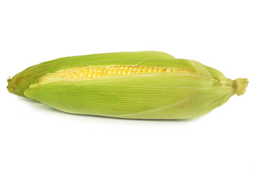 Image showing Sweet corn peeled and with leaves