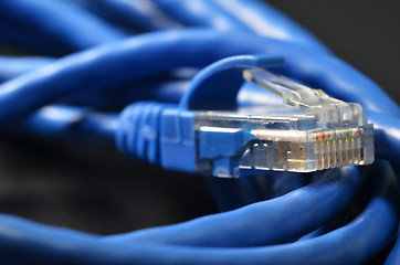 Image showing LAN network connection blue cable