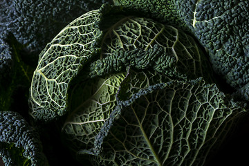 Image showing Detail of Savoy cabbage leaves