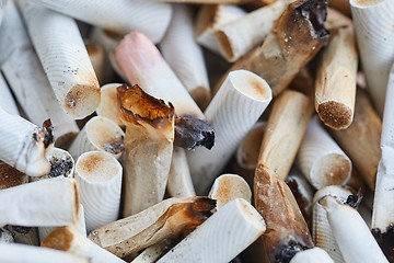 Image showing Cigarette buts in an ashtray