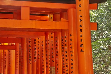 Image showing Fushimi Inari Taisha torii gates