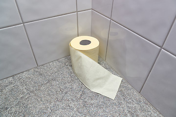 Image showing Toilet paper in the corner