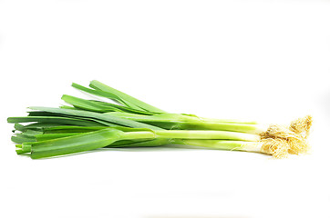 Image showing Fresh leek onion