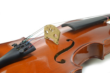 Image showing Close up of violin