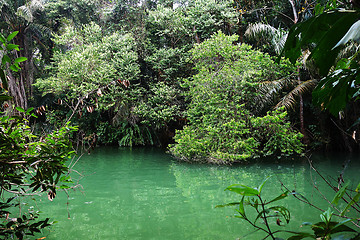 Image showing Tropical lake in mangrove rain forest