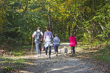 Image showing Couple with kids and dog walking by hiking trail in the autumn forest