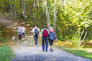 Image showing Group of people walking by hiking trail in the autumn forest