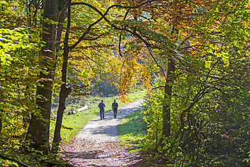 Image showing Two men walking by hiking trail in the autumn forest