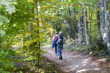 Image showing Young couple with a baby walking by hiking trail in the autumn f