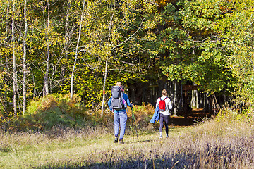 Image showing Young couple with a baby walking by hiking trail in the autumn f