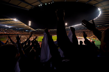 Image showing soccer fans support their favorite sports team