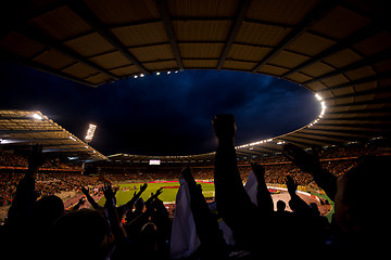 Image showing soccer fans support their favorite sports team