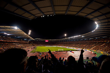 Image showing soccer fans support their favorite sports team