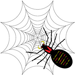 Image showing spider