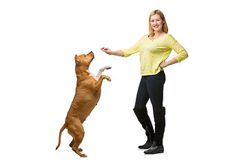 Image showing Girl with amstaff dog