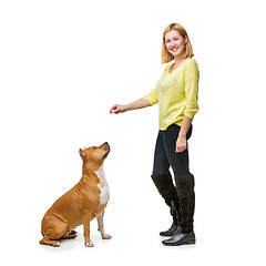 Image showing Girl with amstaff dog